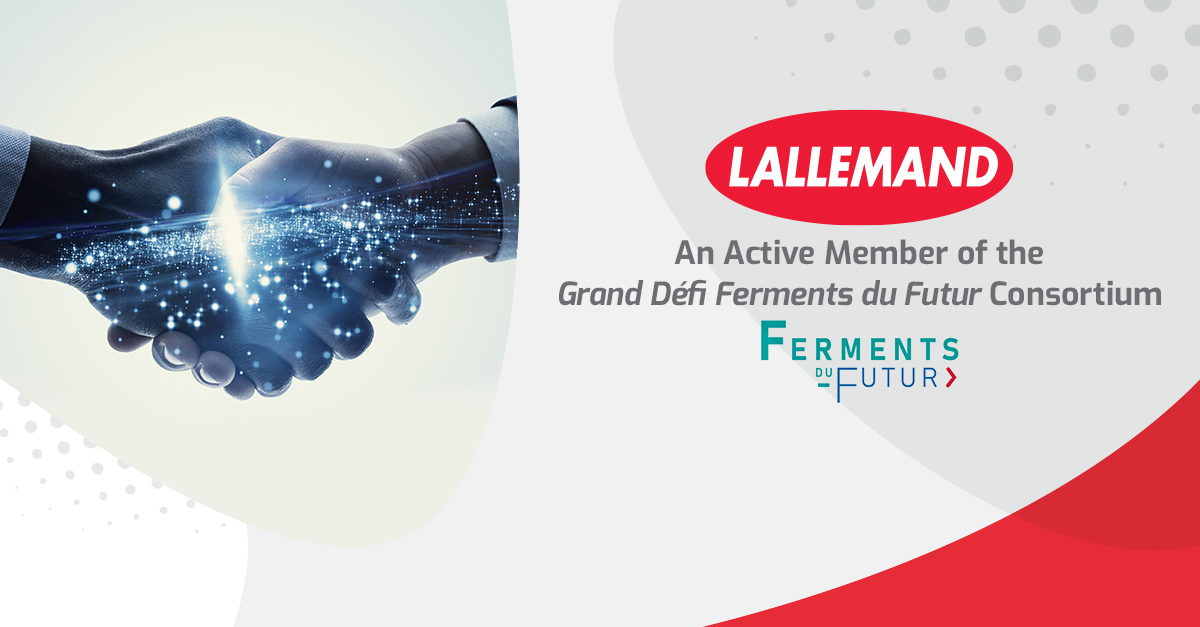 Lallemand, An Active Member of The Grand Défi Ferments Du Futur Consortium: Innovating For the Food of Tomorrow