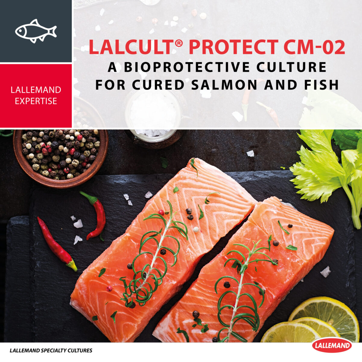 Lallemand Specialty Cultures launches a bioprotective solution for cured salmon and fresh fish